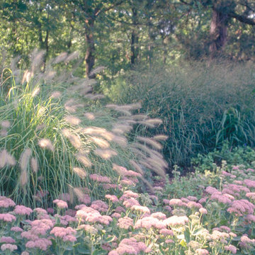 Planting Gone Wild