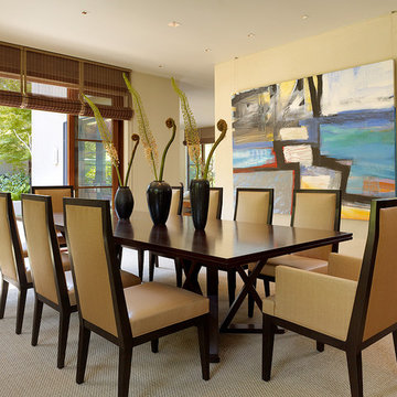 Contemporary Remodel and Addition, Central Marin County