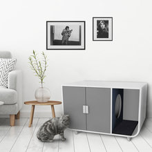 Fur Babies Stuff