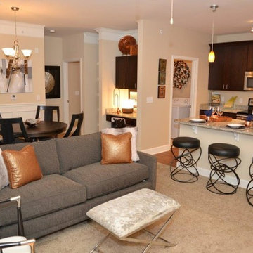 Apartment Complex Furnishings - Overland Park, KS