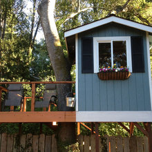 Tree house Santa Cruz