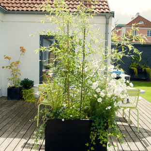 Exemple d'un jardin scandinave.