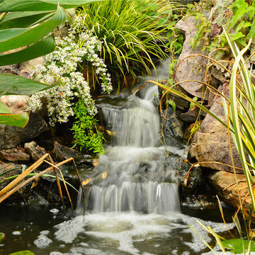 Waterfalls and Streams