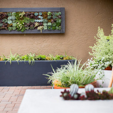 Vertical Garden Design & Ideas