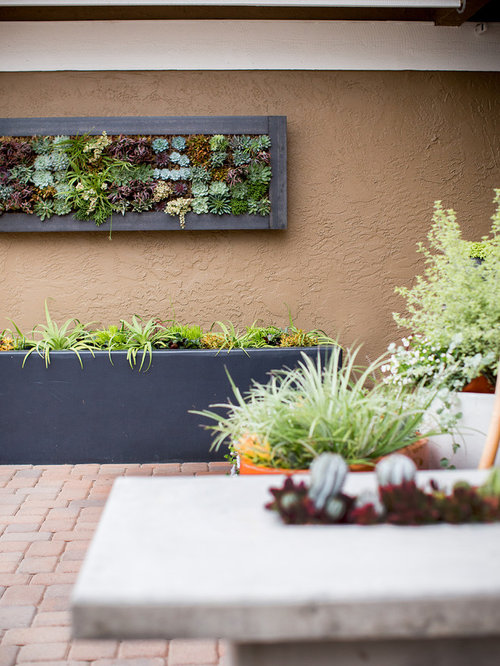 Frontyard Succulent Garden Design - San Diego