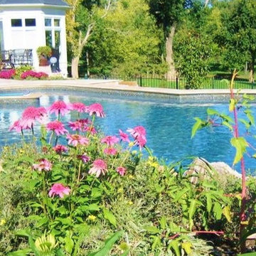 Swimming Pools and Spas