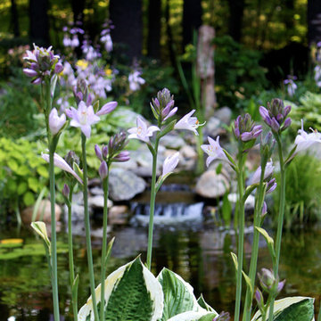 Pond with waterfall, Jefferson, MA