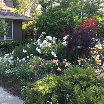 Cottage garden