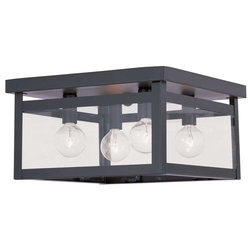Transitional Flush-mount Ceiling Lighting by ShopFreely