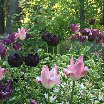 Great Plant Combos