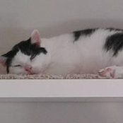 Sabine Vossel's photo