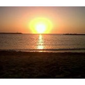 Alessandro Djerbi's photo