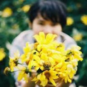Vũ Lam's photo