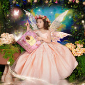Enchanted Fairies's photo
