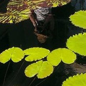 Aurora McLean's photo