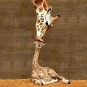 Tracey Judah's photo