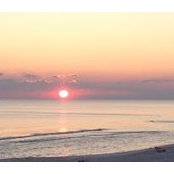 Kathy McKinney's photo