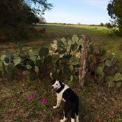 Stacey Miller's photo