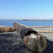 Jonn Kos's photo