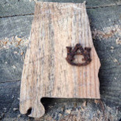 Yancy Carpenters foto