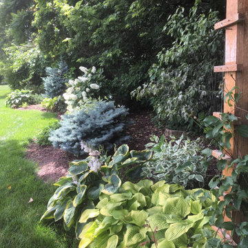 Woodland border after a few years