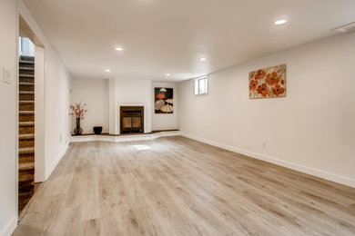 Living room - living room idea in Denver