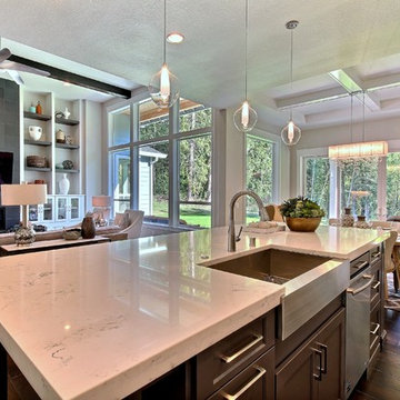 Kitchen Countertops - The Aerius - Two Story Modern American Craftsman