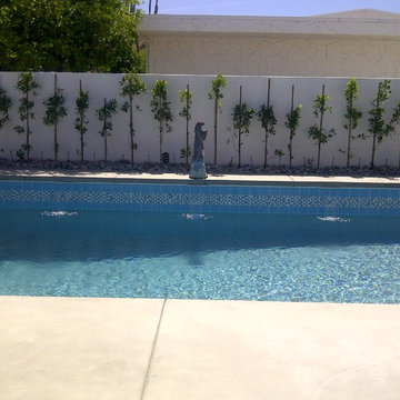 Palm Springs Full Backyard Remodel