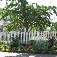 Fences and Gates