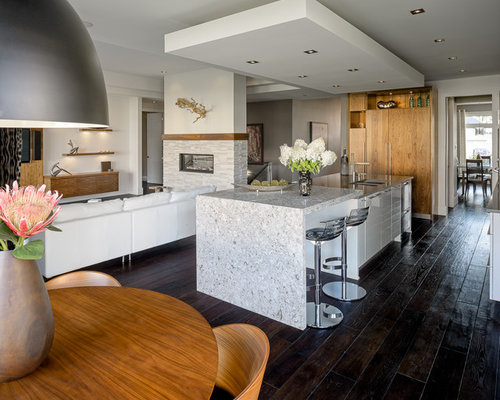 Contemporary Kitchen Design By Astro Design Ottawa 