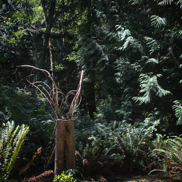 A Forest Oasis on Whidbey Island