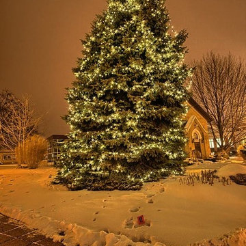Festive Installations