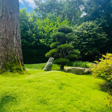 Moss gardens