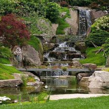 yard ideas