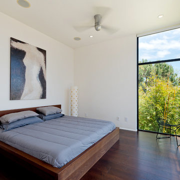 Rare Modern | San Diego, CA
