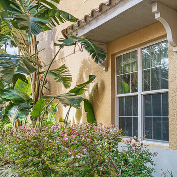 Replacement Windows