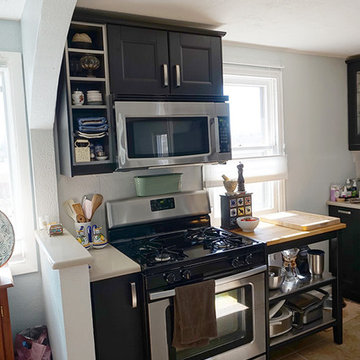 Traditional IKEA Kitchen Remodel in Denver