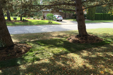 Photo of a front yard landscaping in Toronto.