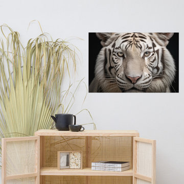 Tiger Art: Albino Majesty White Tiger Photorealism Painting