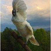 Leisa Jensen's photo