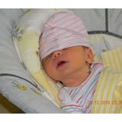 Tracie Dammann's photo