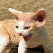 Becky Patterson's photo