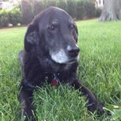 Wayne McNinch's photo