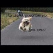 Michelle Wolff's photo