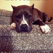 Carrie Mies's photo