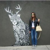 Karen Dimentstein's photo