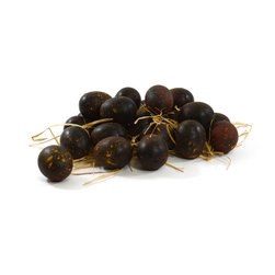 Shea's Wildflower - Eggs/Rust Eggs, 24 Pieces - Holiday Accents And Figurines