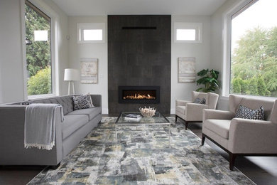 Living room - modern living room idea in Other