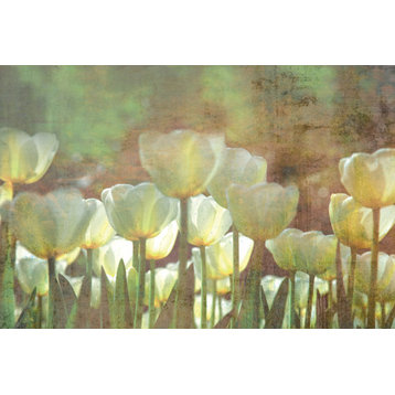 White Tulips Abstract Wall Mural