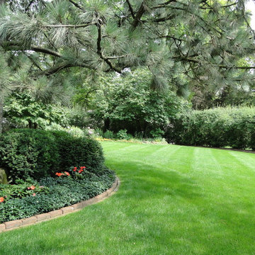 Brookfield Wooded Lot Residence